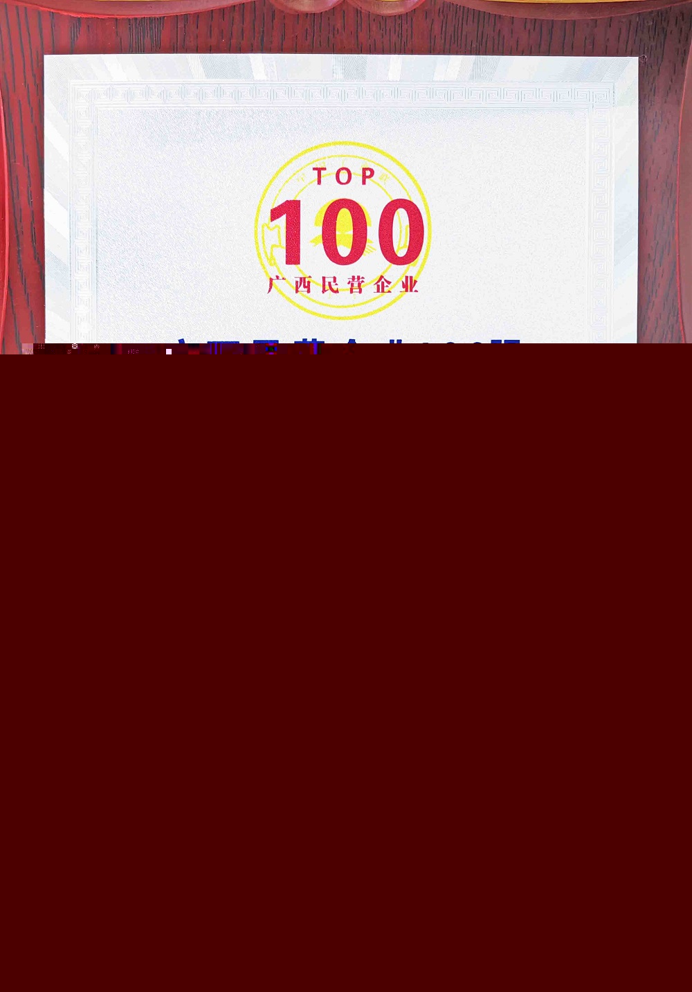 2023年廣西民營企業(yè)100強-第65位.jpg